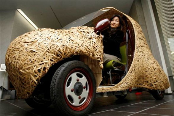 Bamboo Car