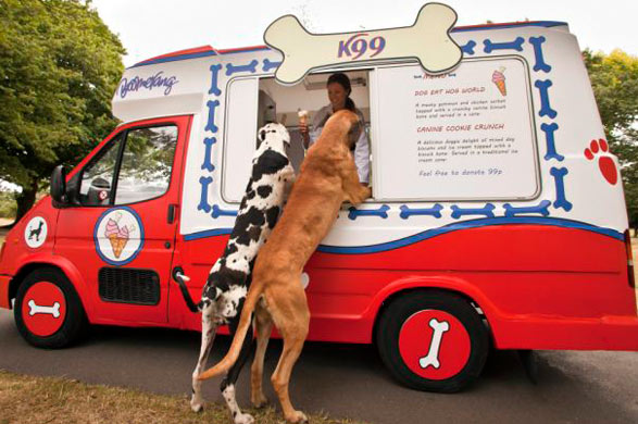 Ice cream van for dogs