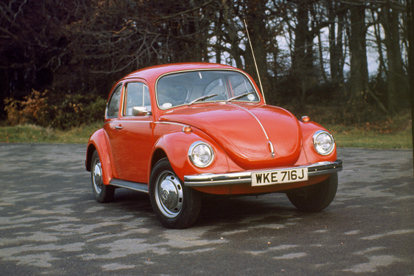 Djokovic's Beetle