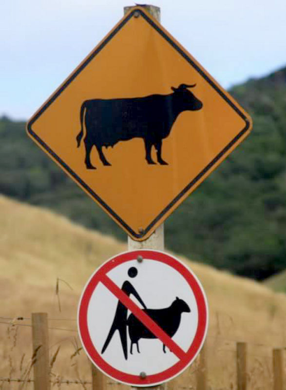 Sheep sign